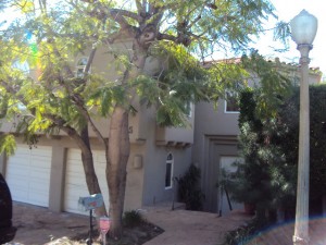 Foreclosure